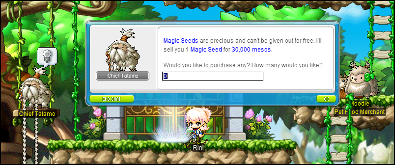 MapleStory Buying Magic Seeds