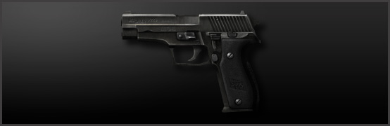 P226 Main Image