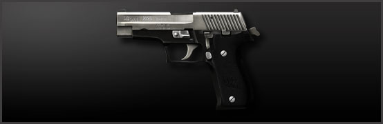 P226 Silver Main Image