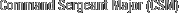 Command Sergreant Major (CSM)