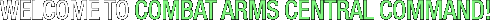 Welcome to Combat Arms Central Command!