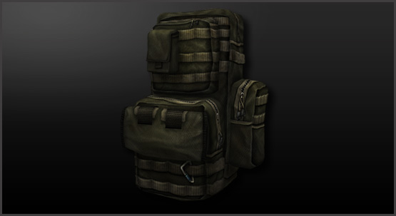 http://nxcache.nexon.net/combatarms/shop/main_tactical_backpack.jpg
