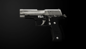 P226 Silver