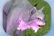 Monsters 5: Right Page Thumb 2