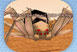 Monsters 5: Right Page Thumb 9