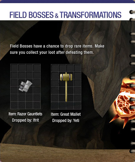 Field Bosses 23: Left Page