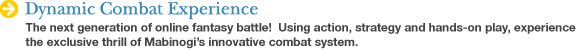 Dynamic Combat Experience