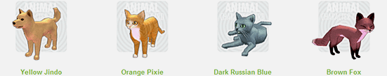 Animal Character Cards