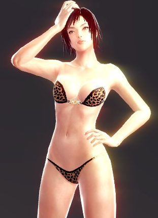 Vindictus Jungle Heat Inner