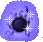 [Image: 00ES3-b59e67cd-e271-4904-9981-94ed946132da.png]