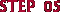 Step 06