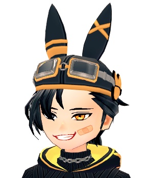 [미국] Raving Rabbit Box - 라바뉴의 마비노기