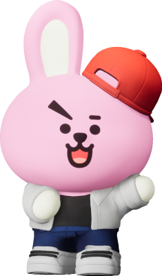 Honorable Student COOKY Package BT21 KartRider Drift