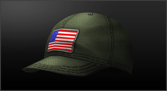 http://nxcache.nexon.net/combatarms/shop/main_patriot_cap_usa.jpg