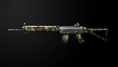 SG550 CAMO