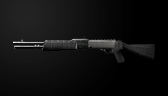 SPAS-12 Stock